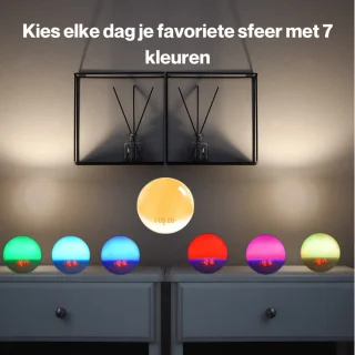 Wake Up Light Digitale Wekker FM Radio