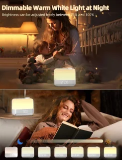Welk merk moet ik gebruiken in de titel?