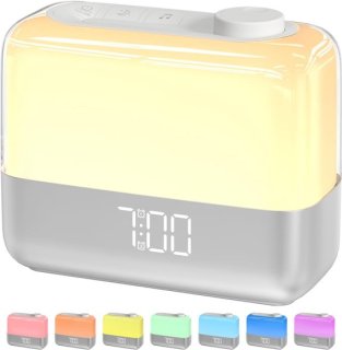 Welk merk moet ik gebruiken in de titel? — Review van de zonsopgangwekkker