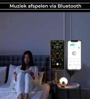 Zedar W600 Wake up light digitale wekker