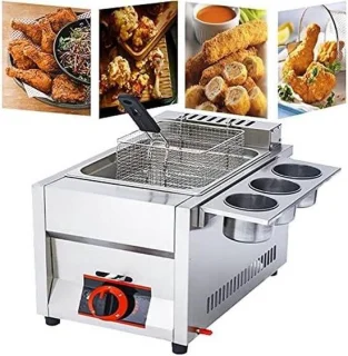 Commerciële 11 liter LPG-friteuse