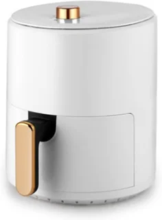 Luchtfriteuse oven