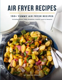 SnelShoppen - Easy air fryer kookboek
