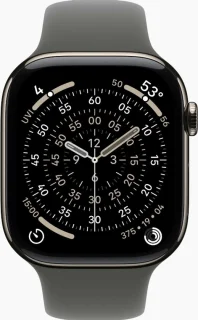 Apple Watch 11 42mm Natural Titanium - Stone Grey Sport Band M/L
