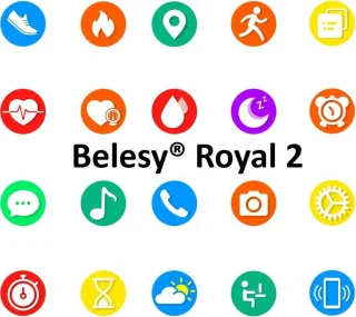 Belesy ROYAL 2 Smartwatch Goud Leer
