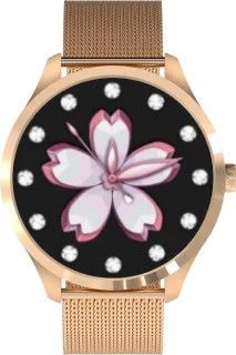 Belesy Y4 Pro 2022 Smartwatch Goud Staal 1.28 inch