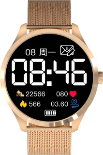 Belesy Y6 Pro 2022 Smartwatch Goud Staal 1.28 Inch