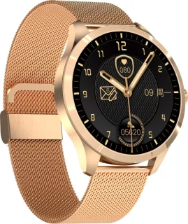 Belesy Y6 Pro 2022 Smartwatch Goud Staal 1.28 Inch