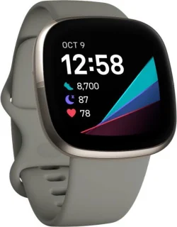 Fitbit Sense Smartwatch Grijs