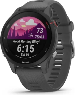 De Garmin Forerunner 255 46mm Sporthorloge Slate Grey in één oogopslag
