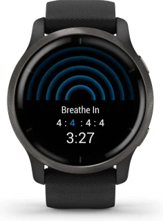 Garmin Venu 2 Heren Smartwatch 45 mm Zwart
