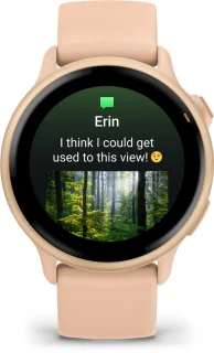 Garmin Vivoactive 6 Pink Dawn Smartwatch
