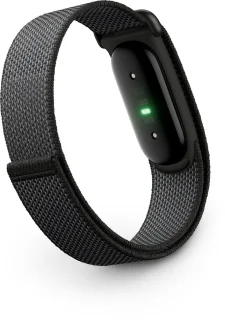 Wat vinden we goed aan de Google Fitbit Air Obsidian - Activiteitstracker