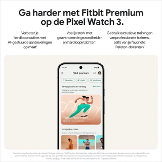 Google Pixel Watch 3 41mm Zilver/Roze