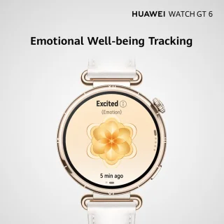 Huawei Watch GT 6 41mm Smartwatch Bruin