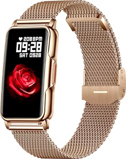 Kiraal Livery Activity Tracker RVS Goud
