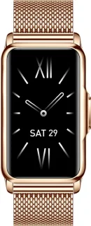 Kiraal Livery Activity Tracker RVS Goud
