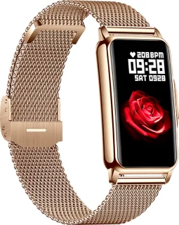 Kiraal Livery Activity Tracker RVS Goud