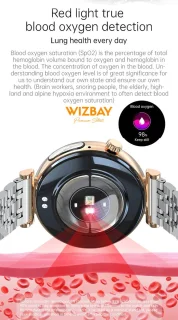 WizBay Premium Select 1.28" AMOLED Smartwatch