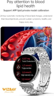 WizBay Premium Select 1.28" AMOLED Smartwatch