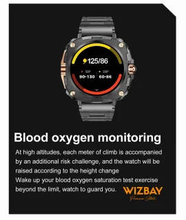 WizBay Premium Select 1.43" AMOLED Smartwatch Zwart RVS Band