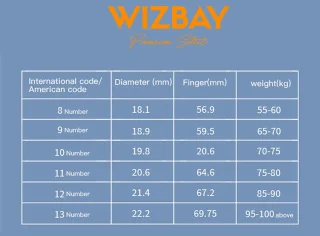 WizBay Premium Select Zilver Touch LED Smart Ring Oplaad Case