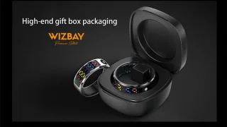 WizBay Premium Select Zwart Color LED Smart Ring