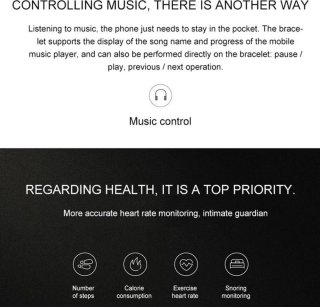 Xiaomi Amazfit Cor 2 Activity Tracker Zwart