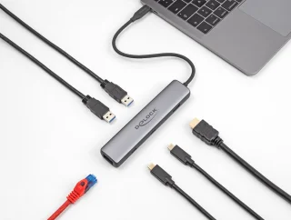 DeLOCK 87865 laptop dock & poortreplicator Bedraad USB 3.2 Gen 2 (3.1 Gen 2) Type-C Zwart, Grijs