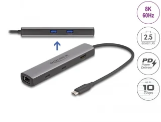DeLOCK 87865 laptop dock & poortreplicator Bedraad USB 3.2 Gen 2 (3.1 Gen 2) Type-C Zwart, Grijs