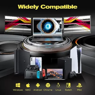 14-inch draagbare monitor