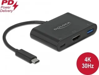 DeLOCK 64091 Laptop Dock & Poortreplicator Type-C