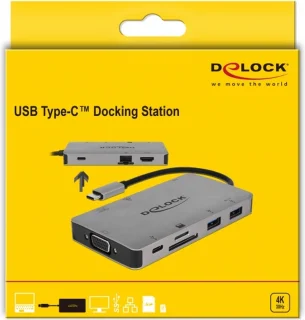 DeLOCK 87735 Laptop Dock & Poortreplicator Type-C Grijs