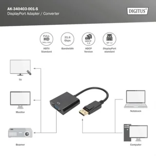 DisplayPort naar VGA-adapter