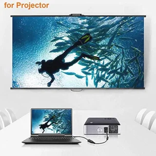 DisplayPort naar VGA-adapter