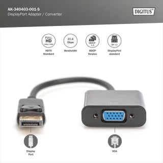 DisplayPort naar VGA-adapter - Zwart