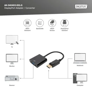 DisplayPort naar VGA adapter - Zwart