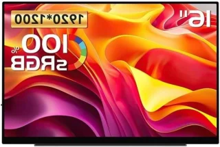 Draagbaar scherm 16 inch zwart