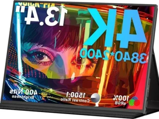 Draagbare monitor 13.3 inch zwart