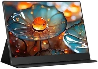 Draagbare monitor 134 inch zwart