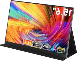 Draagbare monitor 15,6 inch FHD IPS zwart