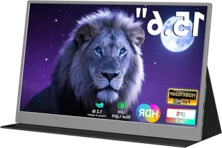 Draagbare monitor 15.6 inch grijs