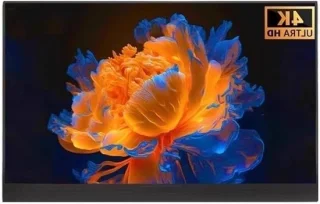 Draagbare monitor 15.6 inch