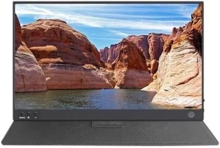 Draagbare monitor 156 inch zilver