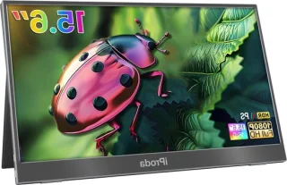 Draagbare monitor 15.6 inch zwart