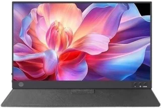 Draagbare monitor 16.1 inch IPS 1080p HD zilver
