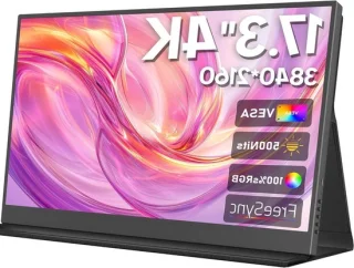 Draagbare monitor 17.3 inch 4K UHD IPS zwart