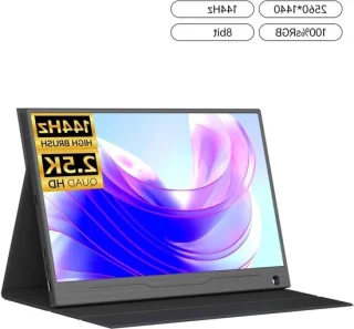 Draagbare monitor 17.3 inch zwart