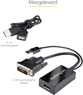 DVI naar DisplayPort Adapter