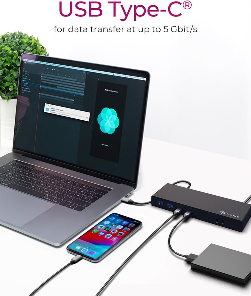 ICY BOX IB-DK2245AC USB 3.2 Gen 1 Type-C Dockingstation Zwart